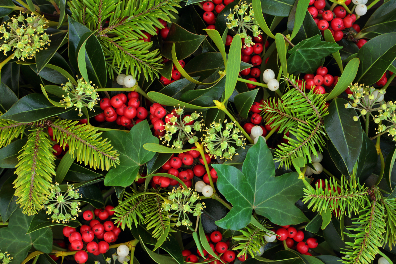 Christmas hero image 3