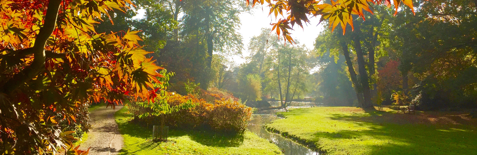 Virgina Water landscape in the autumn