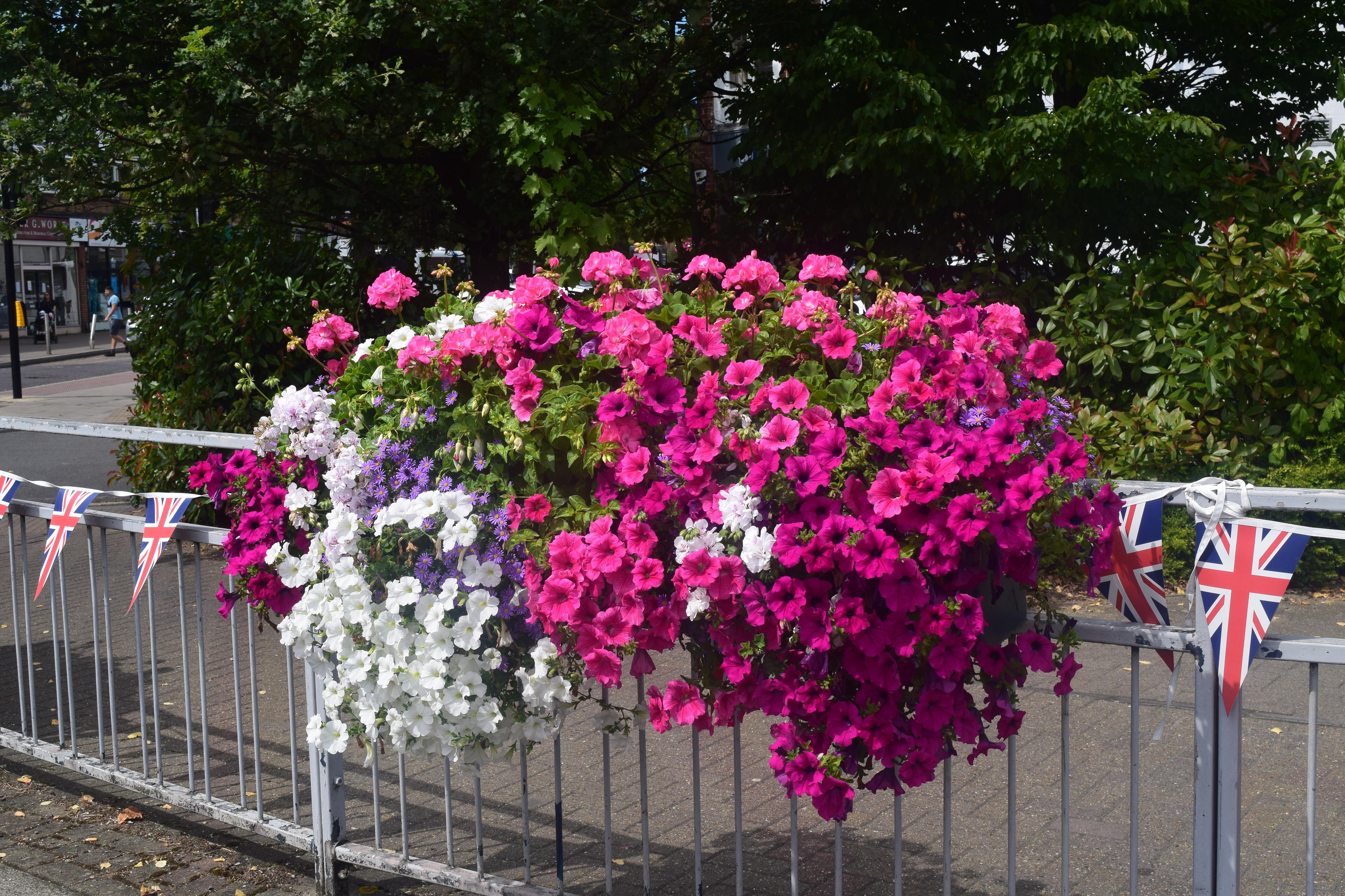 Welcome Back Fund flowers