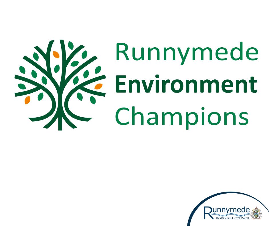 Environment Champions