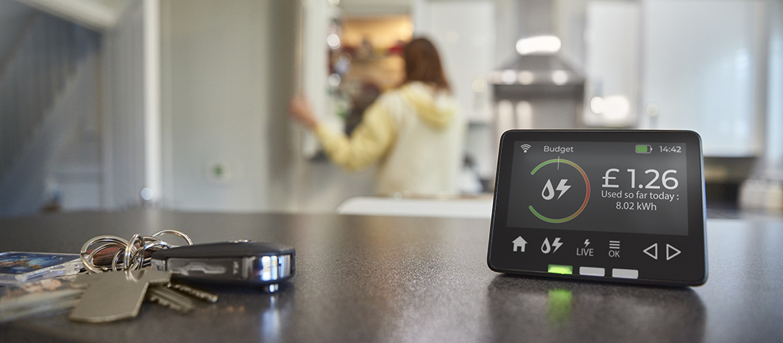 Energy Smart Meter