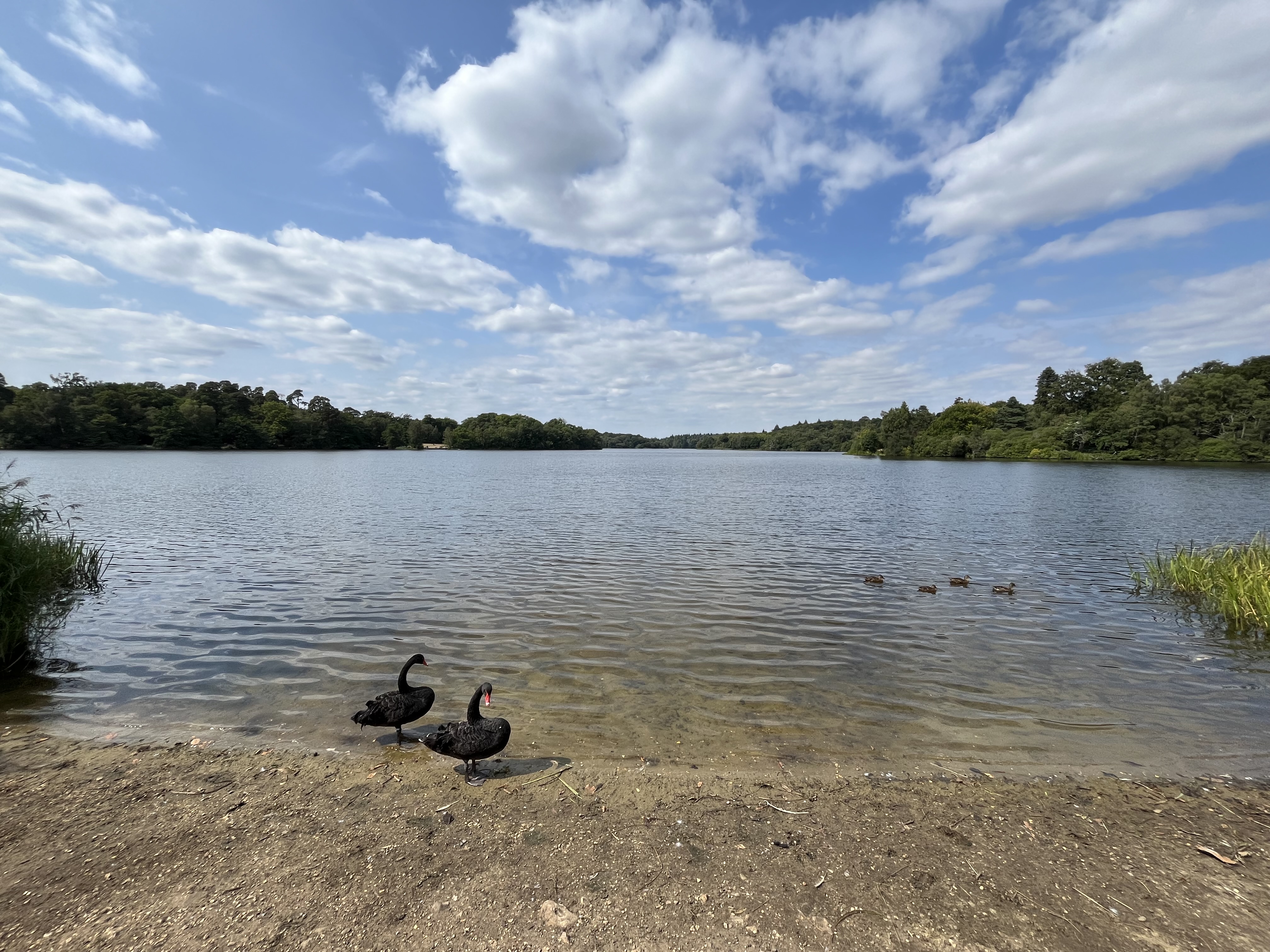 Virginia Water Lake