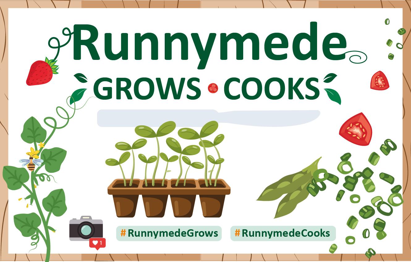 Runnymede grows web page image