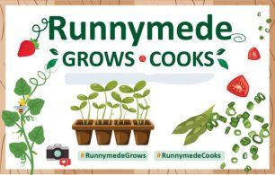 Runnymede Grows web page image - advert