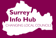 Surrey info hub logo
