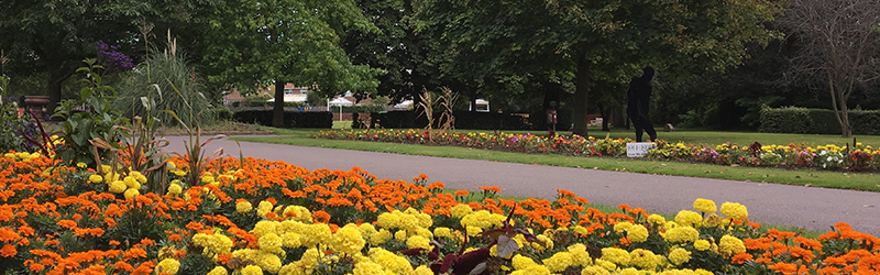 Summer flowers in Victory Park in Addlestone