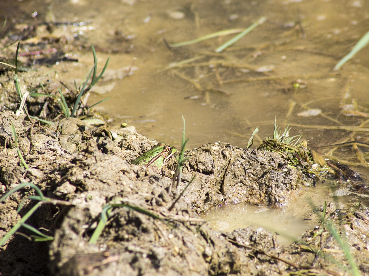 mud and dirty water