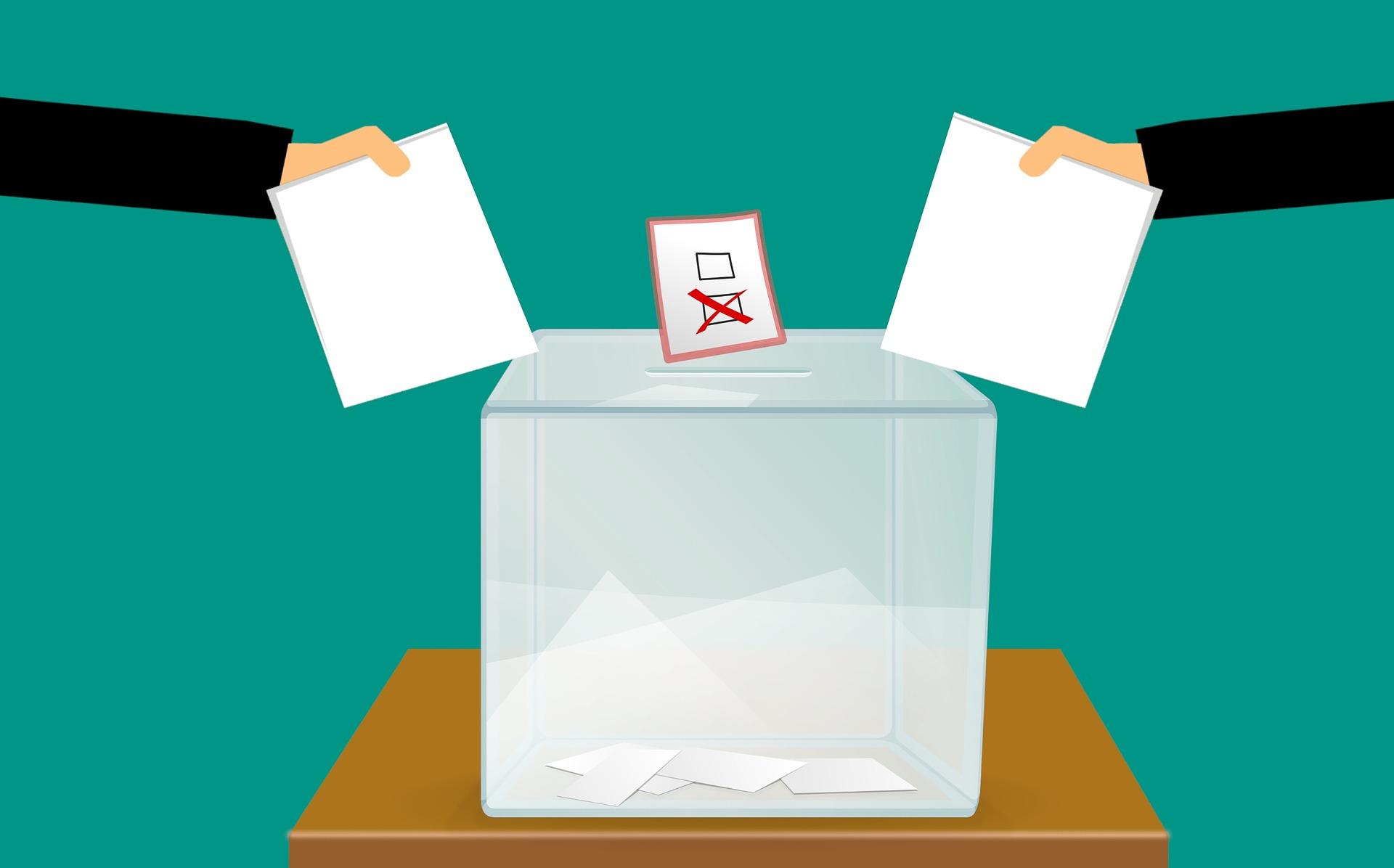 what is the importance of voting in elections